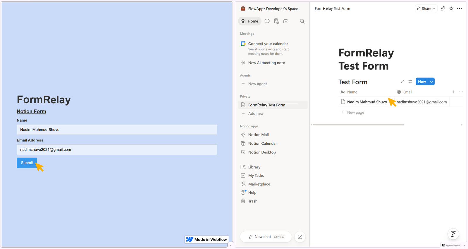 Showing data transfer from webflow published site to Notion database